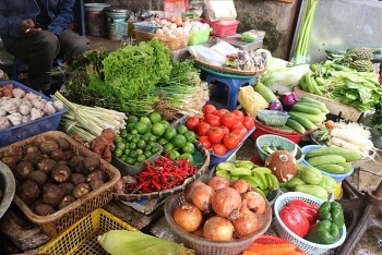 Tin tức kinh tế ngày 25/10: Rau xanh Hà Nội tăng “chóng mặt”