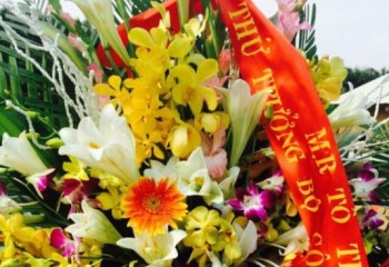 Những hành động 'cáo mượn oai hùm' của ông Trần Đức Trung