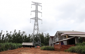 Tổng công ty Truyền tải điện Quốc gia: Tăng tốc để đưa dự án đường dây 500kV mạch 3 về đích