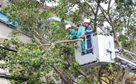 Vẫn lo cho lưới điện quốc gia