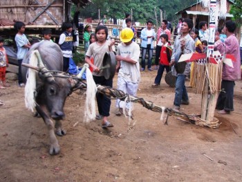 Lao đao vì nợ nần sau lễ đâm trâu