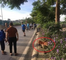 giua tuan mien bac cham dut nang nong