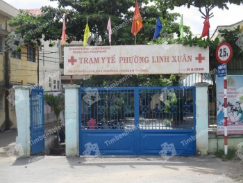 Nữ cán bộ tham ô để có tiền gửi cho người tình ngoại quốc