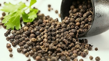 Giá tiêu hôm nay 28/1/2022: Nối dài đà tăng nhẹ