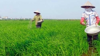 Giá phân bón hôm nay ngày 15/2/2022