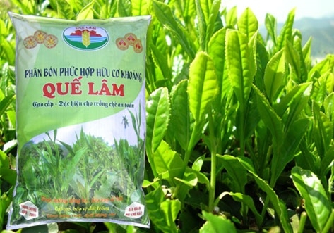 Giá phân bón hôm nay ngày 22/2: Ổn định danh mục