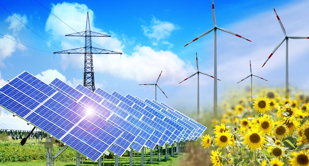 Những khó khăn gặp phải của ngành năng lượng tái tạo Hoa Kỳ năm 2021