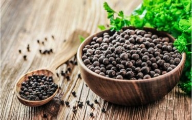 Giá tiêu hôm nay 31/3: Giữ ổn định ở các vùng trồng trọng điểm
