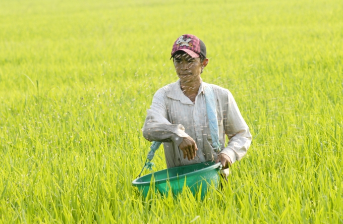 Giá phân bón hôm nay 5/4: Tiếp tục đi ngang