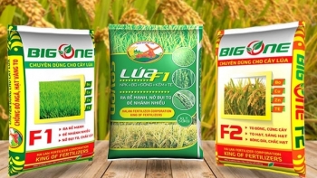 Giá phân bón hôm nay 8/4: Đi ngang thị trường