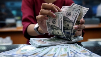 Tỷ giá ngoại tệ hôm nay 30/4: Đồng USD "hạ nhiệt"