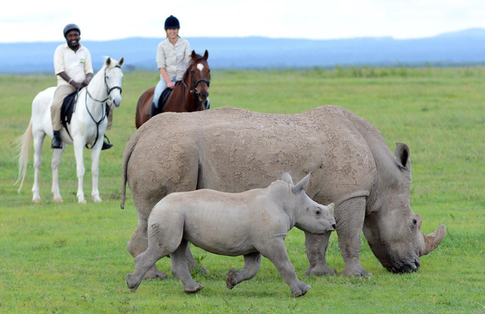 Những nơi tuyệt vời nhất để du lịch Safari trong tương lai