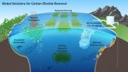 Nghiên cứu loại bỏ carbon dioxide để làm sạch không khí