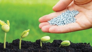 Giá phân bón hôm nay 23/5: Duy trì mức giao dịch ổn định