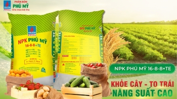 Giá phân bón hôm nay 25/5: Giao dịch không đổi