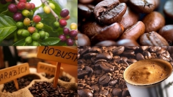 Giá cà phê hôm nay 26/6: Bật tăng chưa từng có