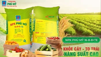 Giá phân bón hôm nay 12/7: Đi ngang toàn miền
