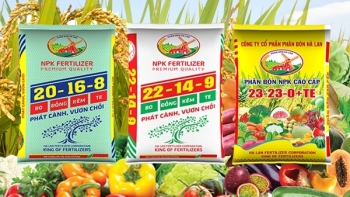 Giá phân bón hôm nay 16/7: Đi ngang ổn định