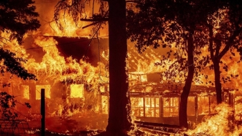 Mỹ: Đề xuất táo bạo nhằm xử lý đường truyền tải điện ở California