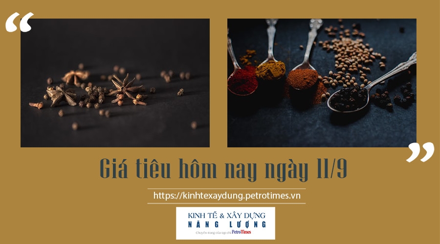 Giá tiêu hôm nay ngày 11/9: Trong nước có chiều hướng tăng nhẹ Giá tiêu hôm nay ngày 11/9: Trong nước có chiều hướng tăng nhẹ