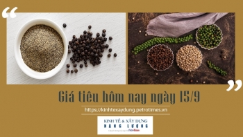 Giá tiêu hôm nay ngày 15/9: Tiếp tục đi ngang