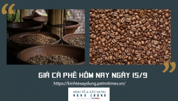 Giá cà phê hôm nay ngày 15/9: Thị trường trong nước tăng nhẹ