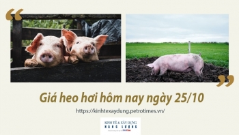 Giá heo hơi hôm nay 25/10: Biến động trái chiều