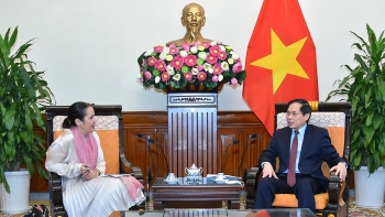Bộ trưởng Ngoại giao Bùi Thanh Sơn tiếp Đại sứ New Di-lân tại Việt Nam