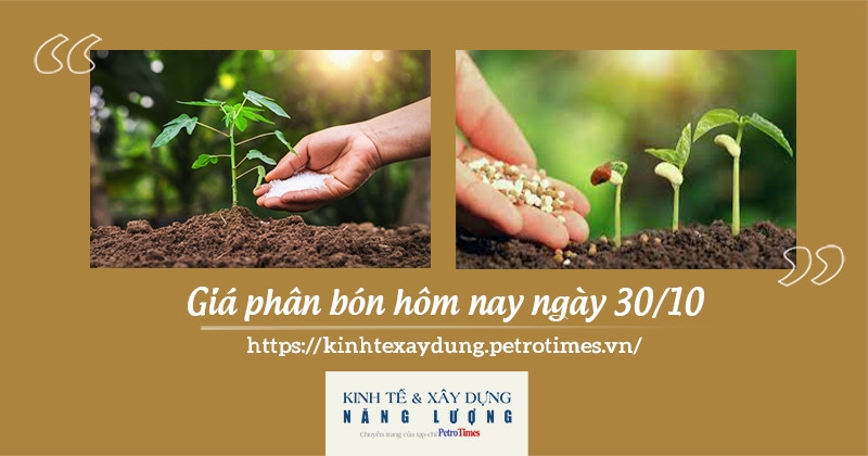 Giá phân bón hôm nay 30/10: Giao dịch ổn định