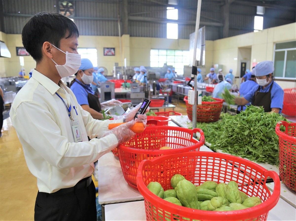 THACO Chu Lai tận tâm chăm sóc sức khỏe cho người lao động