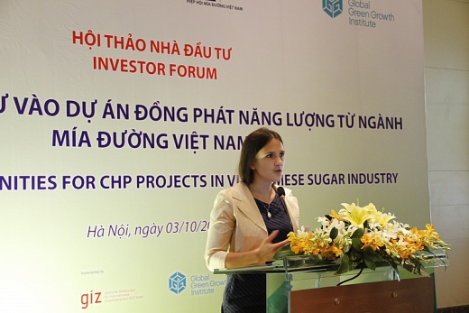 co hoi dau tu vao san xuat nang luong tu nganh mia duong viet nam