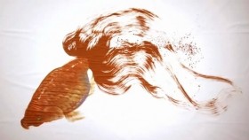 Ngỡ ngàng tranh vẽ cá vàng bơi y như thật