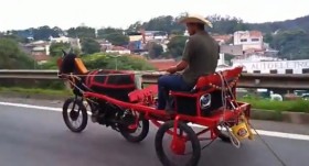 Độc đáo... xe máy ngựa!
