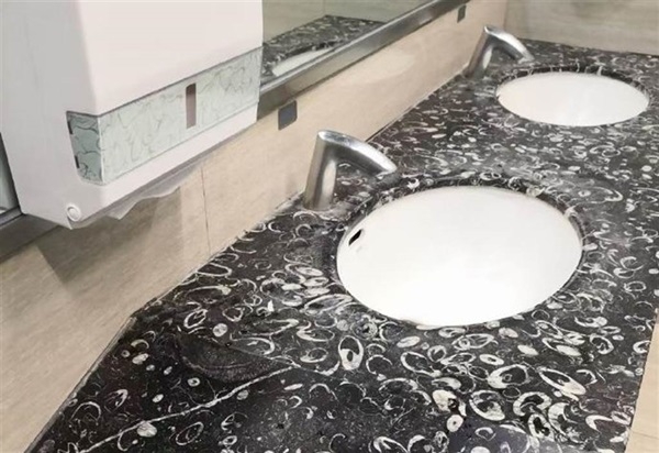Đang rửa tay thì phát hiện bồn rửa có chứa hóa thạch trăm triệu năm