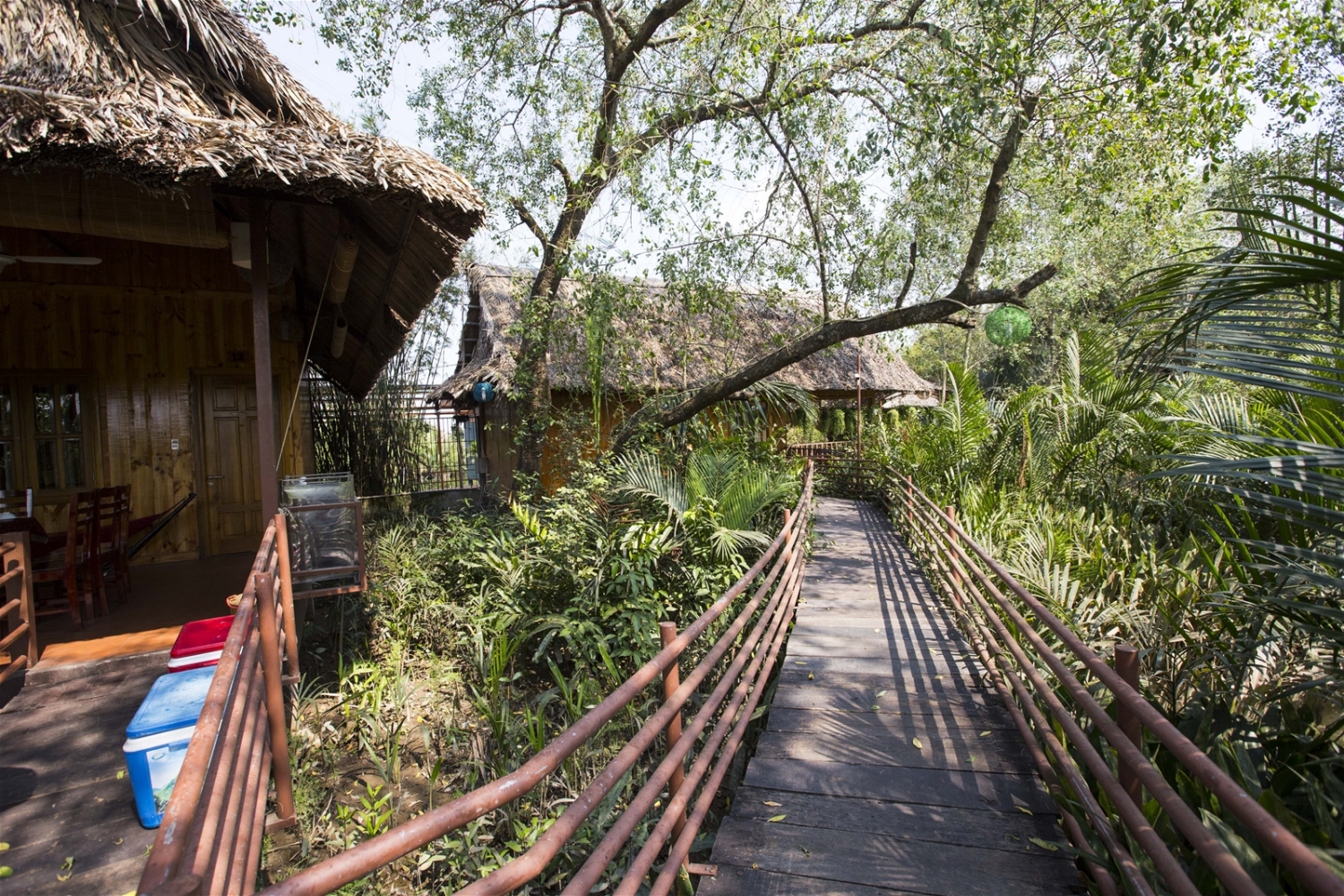 Khám phá "tổ hợp ăn chơi" khủng gấp 10 lần Tràm Chim Resort kham pha to hop an choi khung gap 10 lan tram chim resort