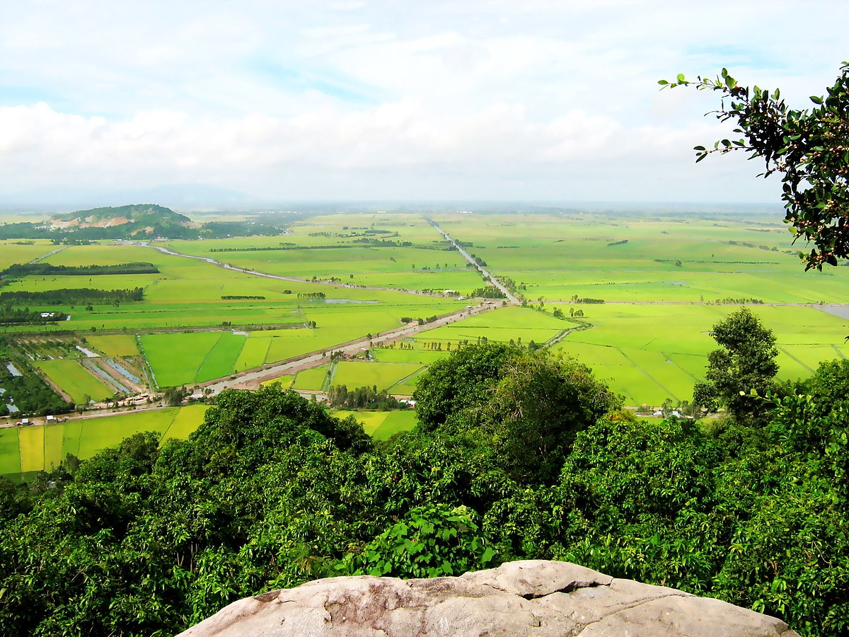 chuyen muc dich su dung dat tai tinh long an