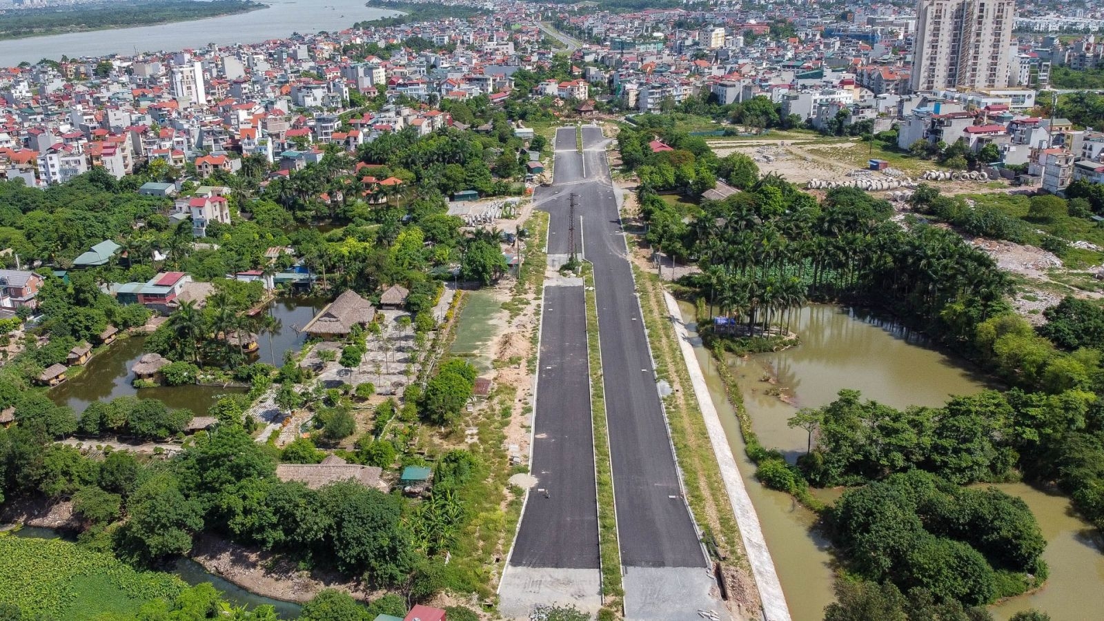 Chuyên gia 