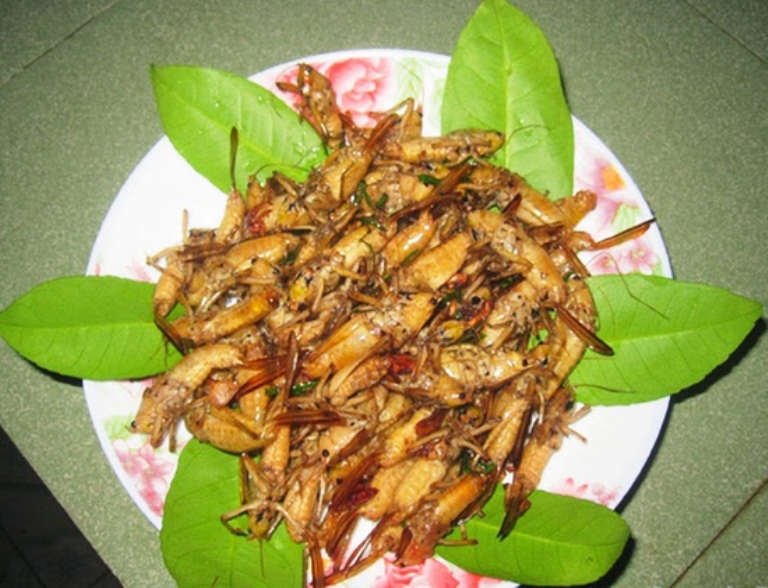 9 món ăn đặc sản của Yên Bái