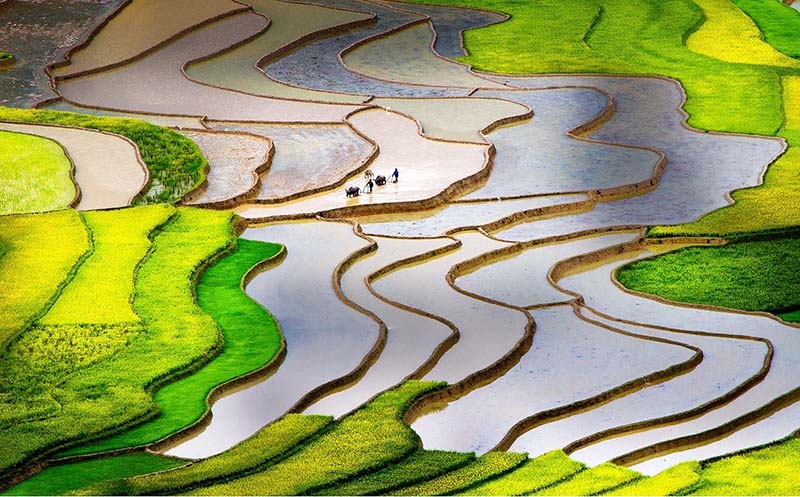 Nếp Tan Tú Lệ Nếp Tan Tú Lệ