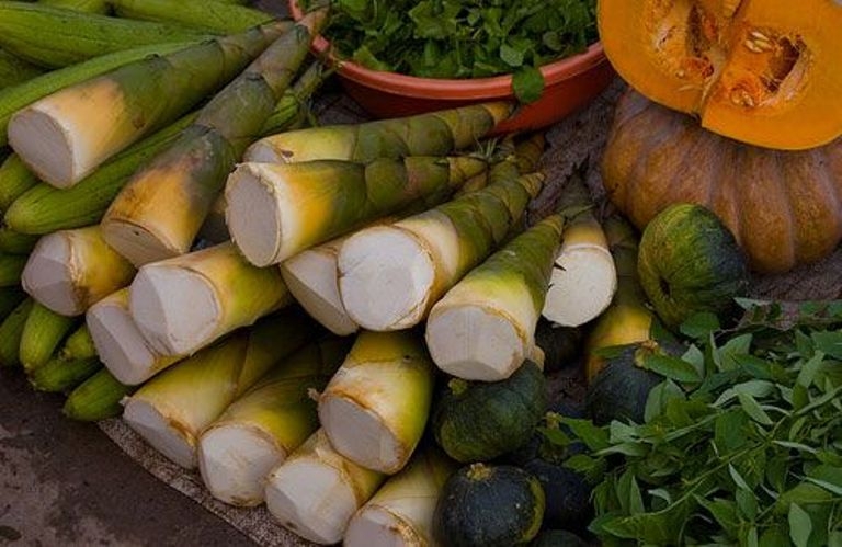 Ngọt, giòn Măng tre Bát Độ Yên Bái