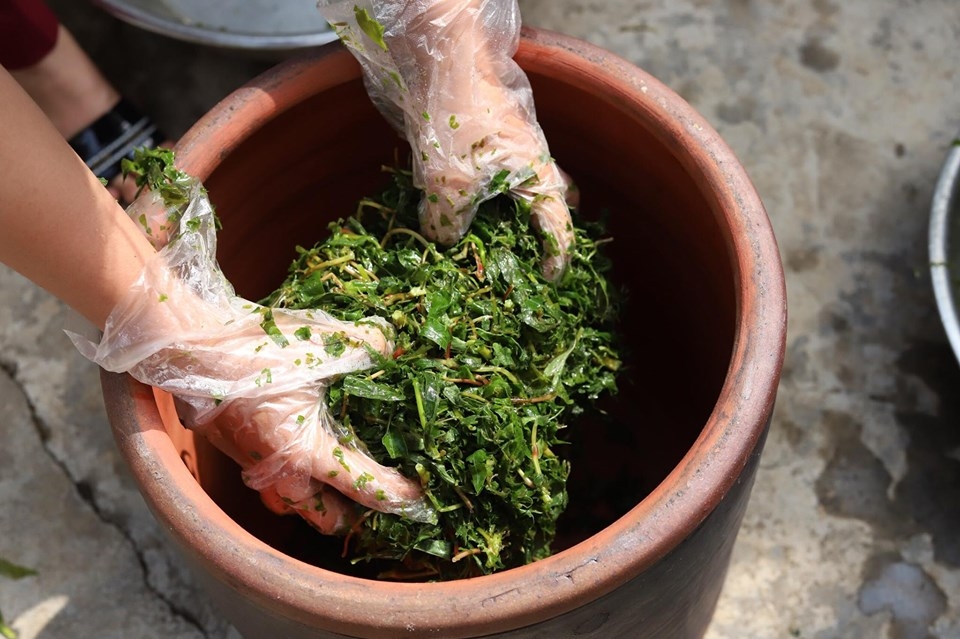 Rau sắn chua Phú Thọ - Đặc sản ẩm thực hương vị quê hương đất Tổ
