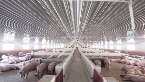 Lập quy hoạch hơn 1.600ha cho 3 dự án tại Thanh Hóa