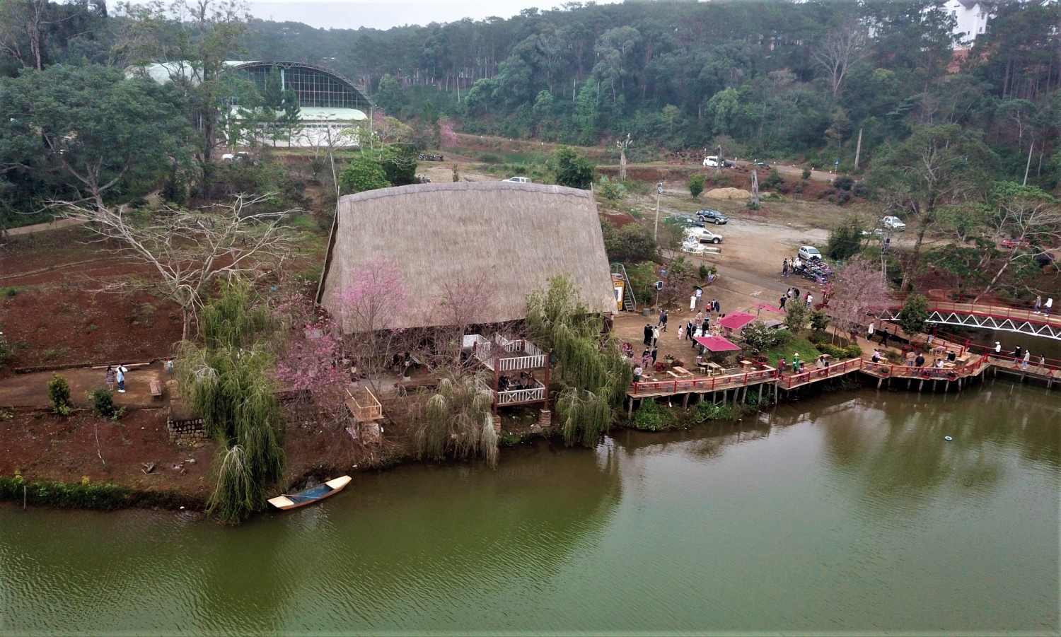 Ngắm mai anh đào nở rộ ở Măng Đen Ngắm mai anh đào nở rộ ở Măng Đen