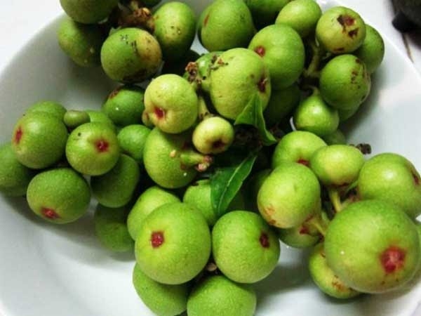 Những loại trái cây giàu canxi mà mẹ bầu không nên bỏ qua