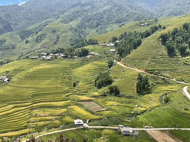 Lào Cai: Những điểm nghỉ dưỡng ở bản làng thu hút du khách Lào Cai: Những điểm nghỉ dưỡng ở bản làng thu hút du khách