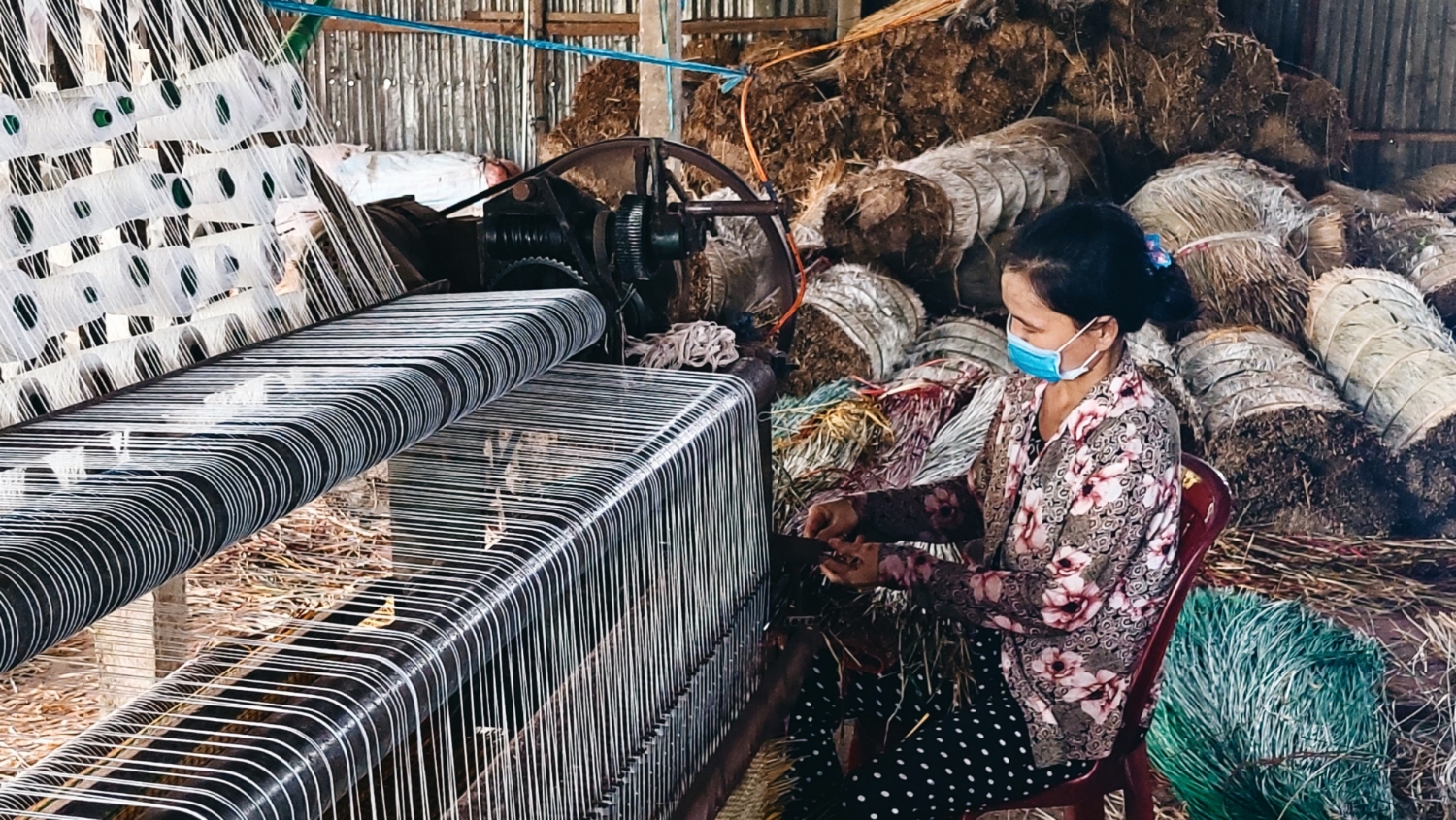 Cù lao Dài - Điểm đến du lịch hấp dẫn trên dòng Cổ Chiên