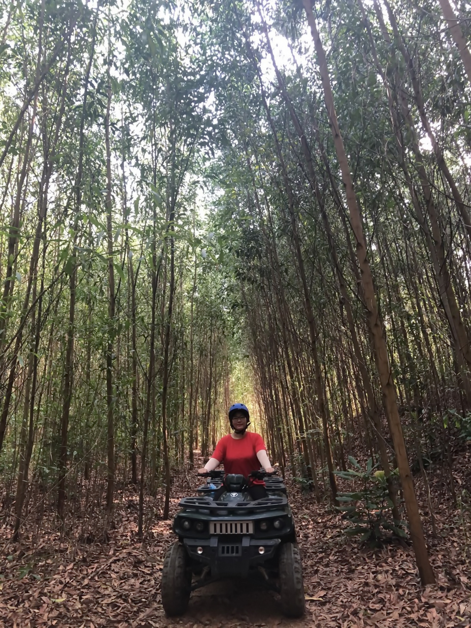 Kong Forest Nha Trang hoạt động trở lại