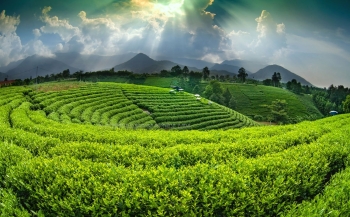 Check in cùng Thái Nguyên