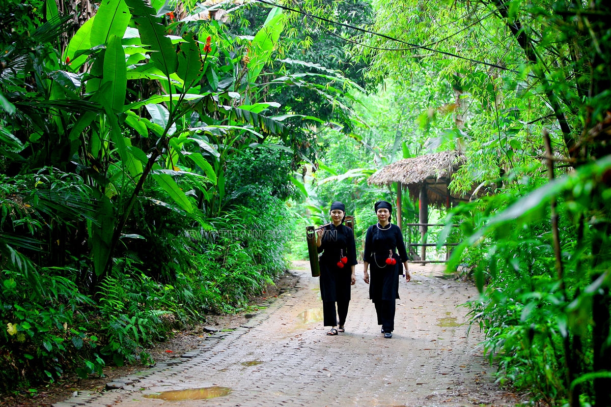 Check in cùng Thái Nguyên