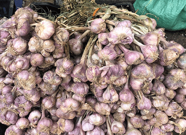 Dinh dưỡng góp phần điều trị “hậu” COVID-19